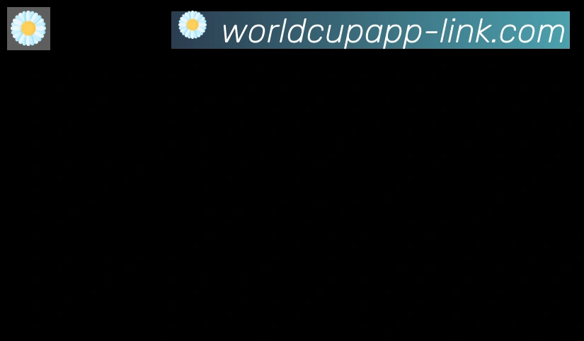世界杯APP下载合作伙伴