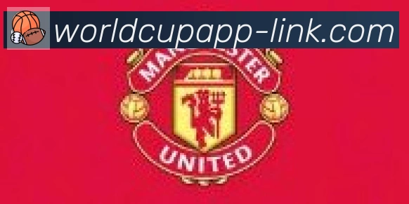 世界杯APP下载合作伙伴
